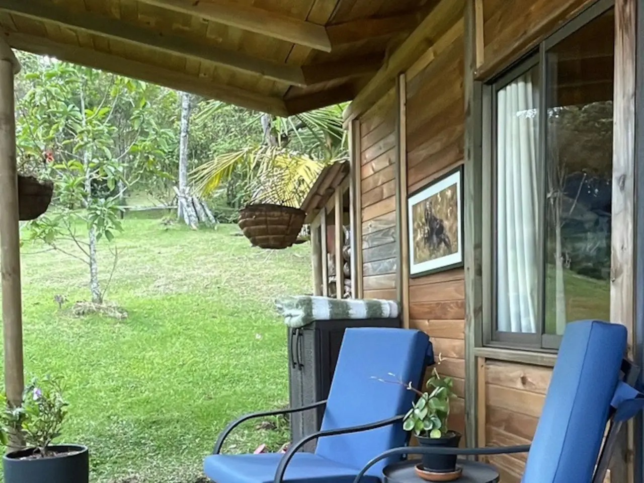Finca Los Magnolios · Cabin, Rionegro, Medellín (view 8)